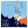 Toad The Wet Sprocket – New Constellation