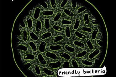 Mr. Scruff – Friendly Bacteria