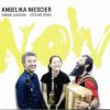 Angelika Niescier – Now