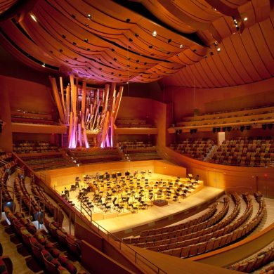 Walt Disney Concert Hall, Los Angeles, credit: Adam Latham