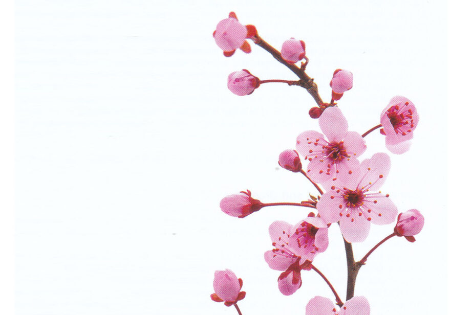 Toshio Hosokawa - Orchestral Works 4