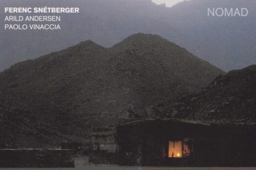 Jazztrios mit Akustikgitarre