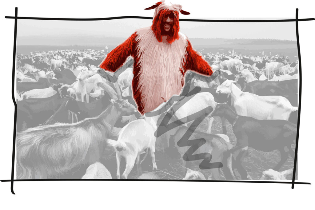 und dann war da noch ... Määäh?