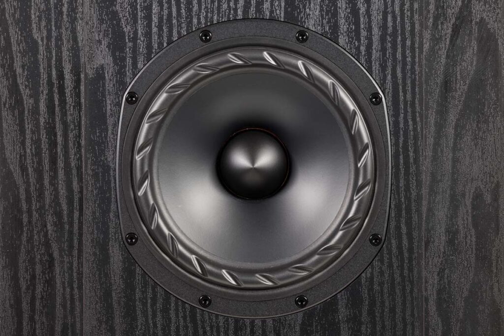 Fyne Audio F501E