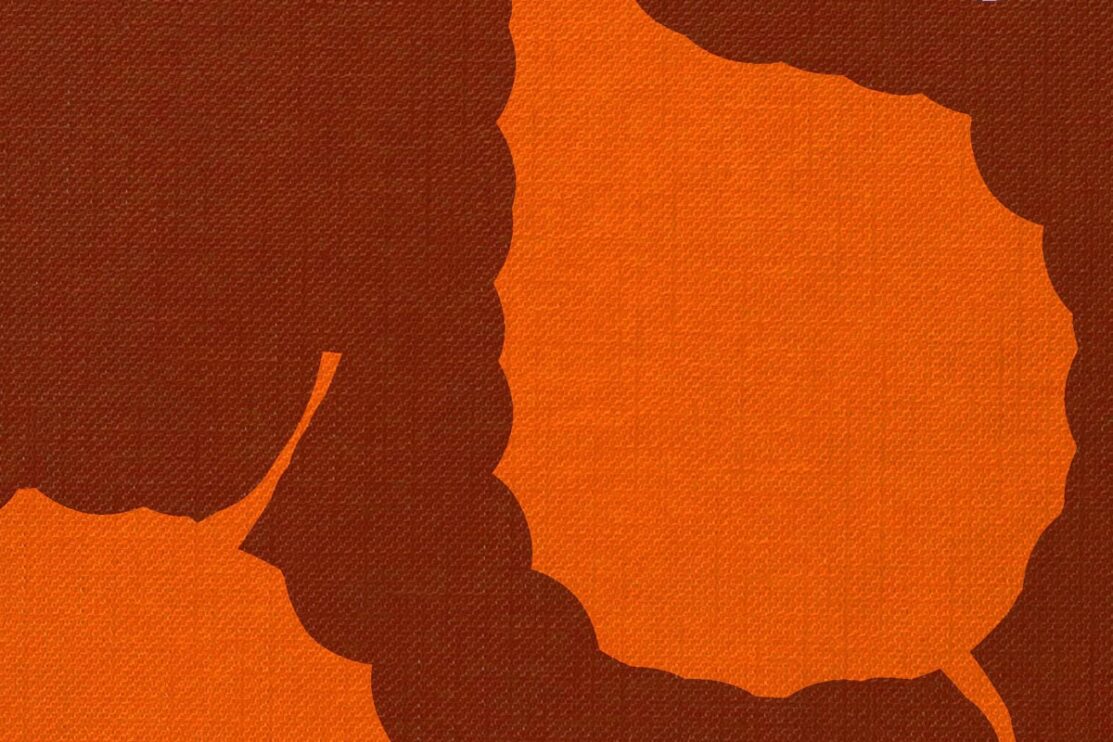 Van Morrison - Remembering Now