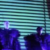 40 Jahre Pet Shop Boys