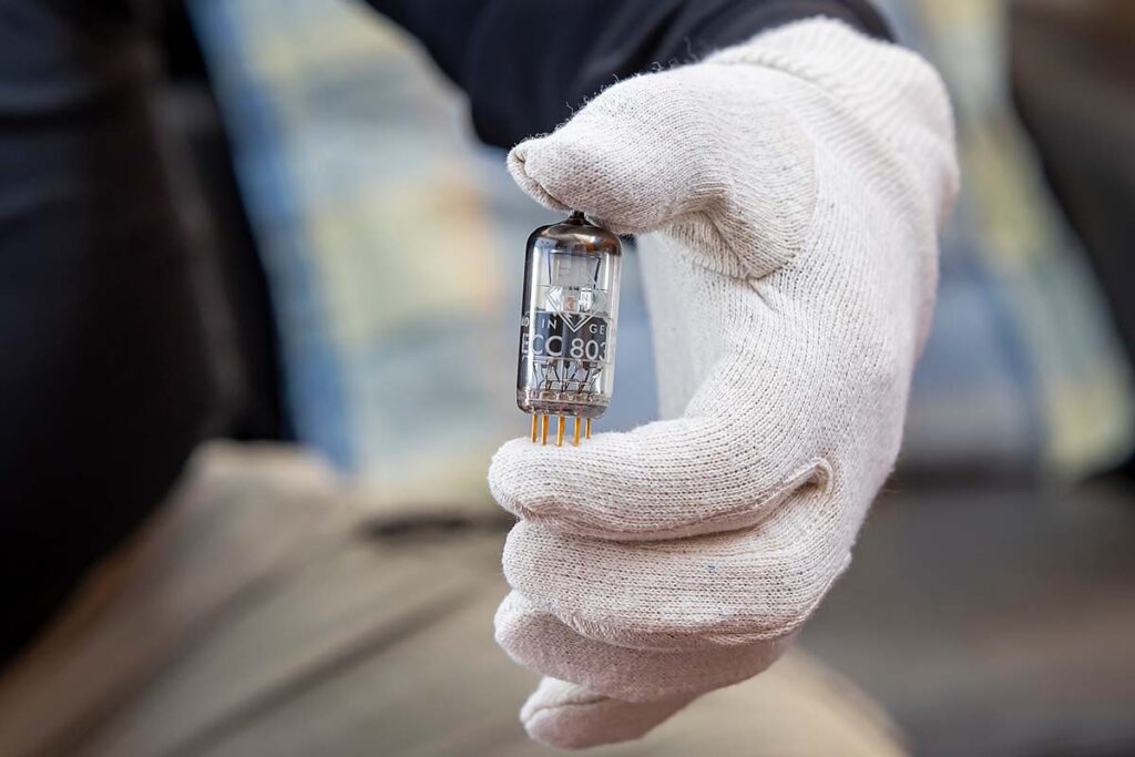 Ein Wegweiser durch das Röhrendickicht