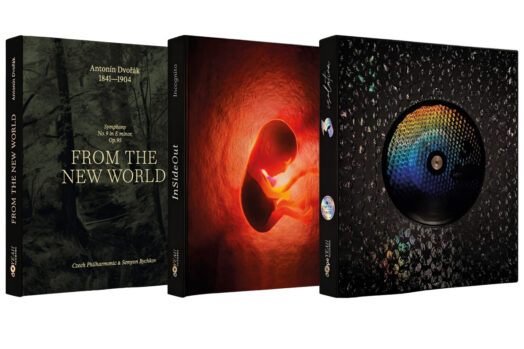 Vinyl Vision 3000 Editions-Schallplatten