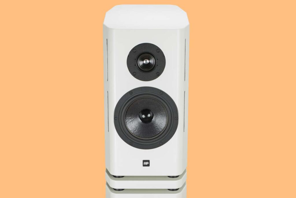 ap-elektroakustik-monitor-30p-20a-02 ap-elektroakustik-monitor-30p-20a-02