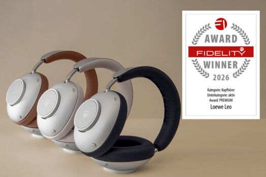 FIDELITY Awards 2026 - Loewe leo