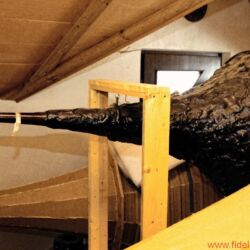 Goto Hornsystem der Superlative