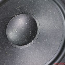 Verity Audio Leonore