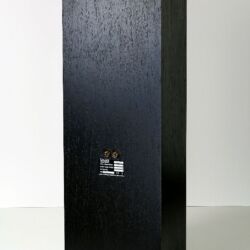 Vivo V-20