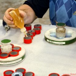 Focal Firmenreportage