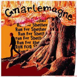 Funkadelity Gnarlemagne Run For Shelter