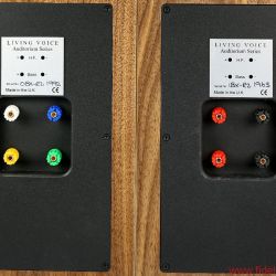 Living Voice Avatar IBX-R2 und OBX-R2 - Spezielle Farben am Terminal der OBX beugen Verwechslungen vor. Bi-Wiring ist in jedem Fall empfohlen
