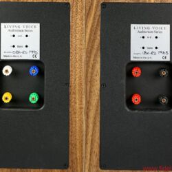 Living Voice Avatar IBX-R2 und OBX-R2 - Spezielle Farben am Terminal der OBX beugen Verwechslungen vor. Bi-Wiring ist in jedem Fall empfohlen