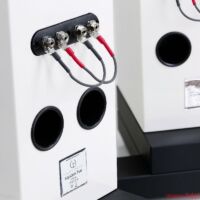 Über den Reflexöffnungen sitzen die Bi-Wiring-Anschlüsse. Die mitgelieferten Brücken sind durchaus "endgültig" Wilson Benesch Square 5