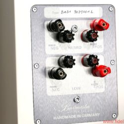 Bananas oder Gabelschuhe? Unterschiedliche Terminals sind für unterschiedliche Kabelenden optimiert. Die Tieftöner sind auch „in freier Wildbahn“ sehenswert