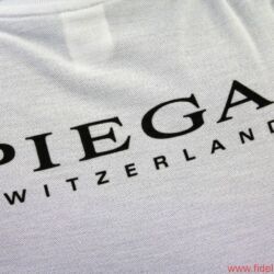 Piega Chassismontage