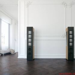 Piega Master Line Source 2