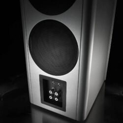 Piega Master Line Source 2