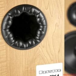 Bryston Mini A - Interessantes Reflexrohr auf der Rückseite, eventuell bionisch inspiriert?