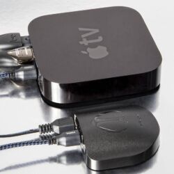 Audioquest Beetle