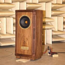 Messungen Tannoy Prestige Turnberry GR Limited Edition Alnico