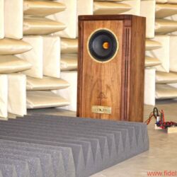 Messungen Tannoy Prestige Turnberry GR Limited Edition Alnico