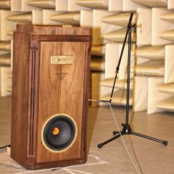 Messungen Tannoy Prestige Turnberry GR Limited Edition Alnico
