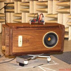 Messungen Tannoy Prestige Turnberry GR Limited Edition Alnico