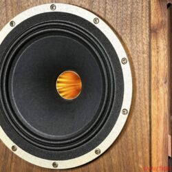 Tannoy Prestige Turnberry GR Limited Edition Alnico
