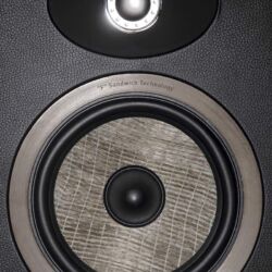 Focal Aria 936 - Deutlich ist die Struktur des Flachs zu erkennen