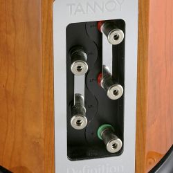 Tannoy Definition DC8 Ti - Fünftes Rad? Der grün markierte Anschluss am Bi-Wiring-Terminal ist eine extra Erdungsklemme