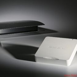 Auralic Aries Mini