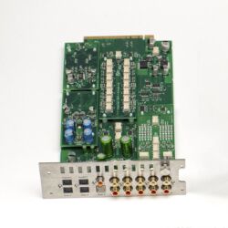 Entotem Plato Innenansichten