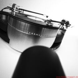 Reed Muse 3C