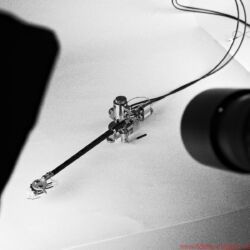 Reed Muse 3C