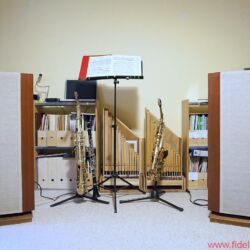Stax SRM Monitor plus Sigma Pro - Nicht im Bild: dreißig weitere Stax-Legenden, zwanzig Holzblasmundstücke, zehn Kopflautsprecher, fünf Holzblasinstrumente, vier CD-Regale, drei Tuner-Legenden, zwei Plattenspieler, eine Tonbandmaschine.