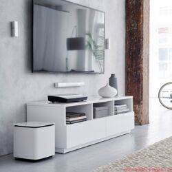bose