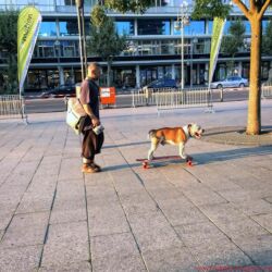 IFA Berlin 2016