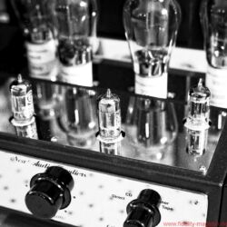 Westdeutsche HiFi Tage 2016 im Hotel Maritim Bonn, ausgerichtet von HiFi Linzbach