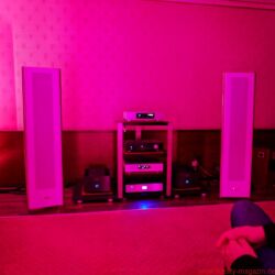 Westdeutsche HiFi Tage 2016 im Hotel Maritim Bonn, ausgerichtet von HiFi Linzbach