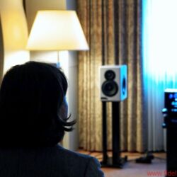 Westdeutsche HiFi Tage 2016 im Hotel Maritim Bonn, ausgerichtet von HiFi Linzbach