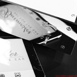 Burmester 150 Netzwerkplayer