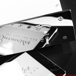 Burmester 150 Netzwerkplayer