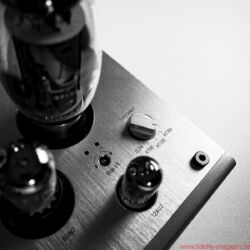 Lyric Audio Ti 140 Röhren-Vollverstärker - Der Ti 140 verträgt vier verschiedene Leistungsröhren: EL34, KT88, KT120 und KT150. Zudem lässt sich auf der Rückseite des Integrierten die Gegenkopplung variieren.