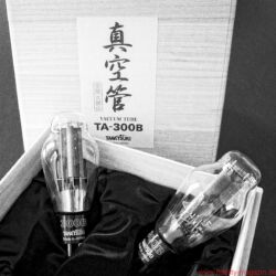 Air Tight ATM 300 Anniversary - Neben den Leistungsröhren von Takatsuki kommen Gläser von Electro-Harmonix zum Einsatz, die nicht (gleich) gewechselt werden sollten – nicht einmal die Gleichrichterröhre 5U4GB, obwohl mit bestimmten NOS-Typen, etwa von General Electric, durchaus noch Steigerungen vorstellbar sind.