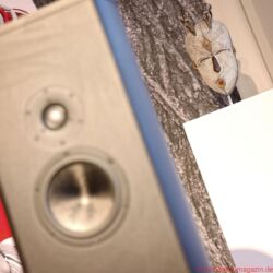 Magico bei MySound in Starnberg 2016
